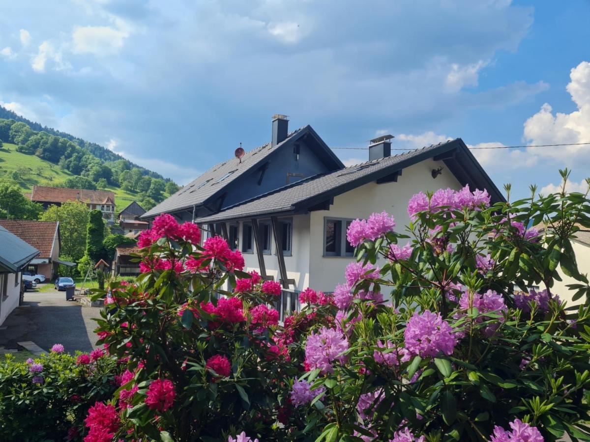 Sondernach Locations Des 3 Sommets Avec Sauna Et Spa En Alsace מראה חיצוני תמונה