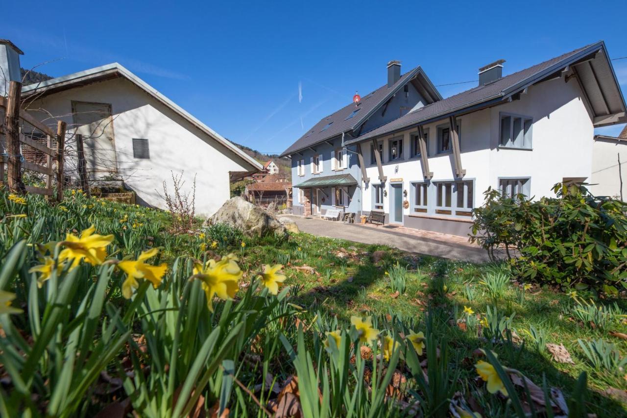 Sondernach Locations Des 3 Sommets Avec Sauna Et Spa En Alsace מראה חיצוני תמונה