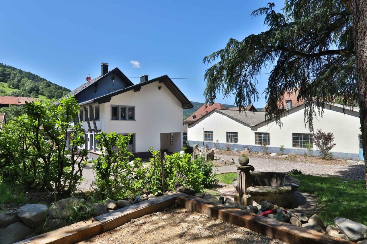 Sondernach Locations Des 3 Sommets Avec Sauna Et Spa En Alsace מראה חיצוני תמונה